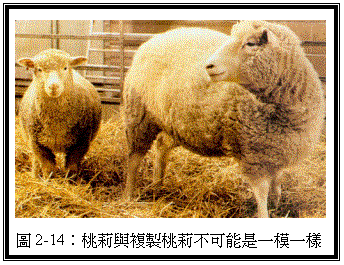 ���ַ���:  
ͼ2-14�������븴�����򲻿�����һģһ����
